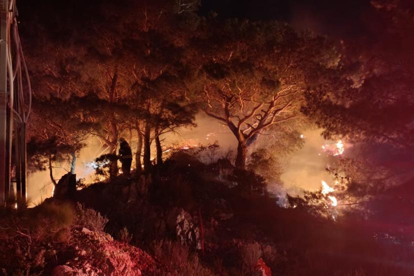 Bodrum’da ormanda çıkan yangın söndürüldü