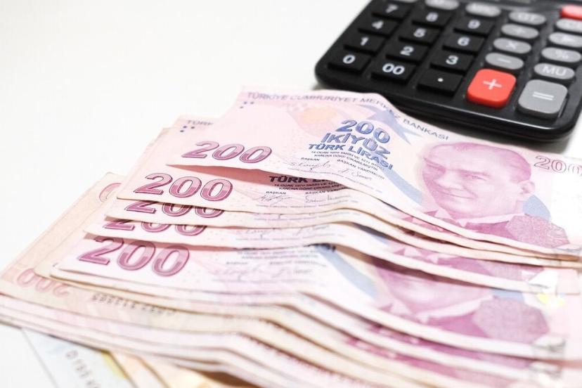 Türkiye ekonomisinin şubat ayında gündemi yoğun