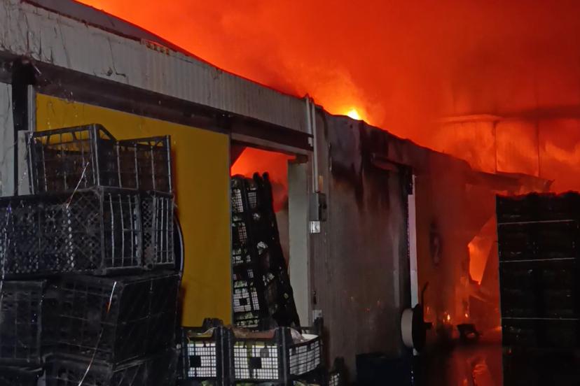 Antalya'da muz paketleme ve sarartma tesisinde yangın