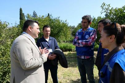 Bodrum'da üreticilere ağaç budama eğitimi verildi
