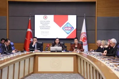 Çocukların Suça Sürüklenmesi Araştırma Komisyonunun görev süresi uzatıldı