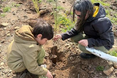 Muğla'da gönüllülerden doğaya 2 bin fidan