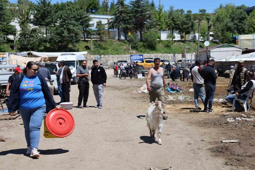 Elazığ hayvan pazarında hareketlilik sürüyor