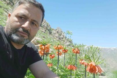Hakkari’de 2 bin 700 rakımda ters laleler görüntülendi
