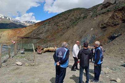 Hakkari’de Kurban pazarı hareketlendi