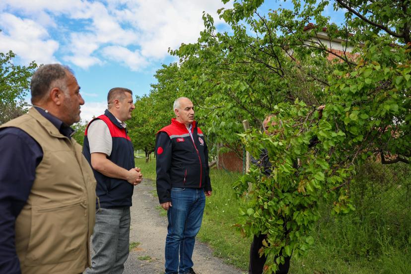 Malatya'da dolu yağışından zarar gören kayısı bahçelerinde inceleme