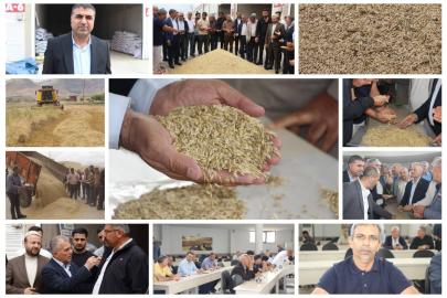 Mardin'de hasadı yapılan yılın ilk arpası satışa sunuldu