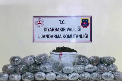 Diyarbakır'da 1 milyon 755 bin kök kenevir ve skunk ele geçirildi