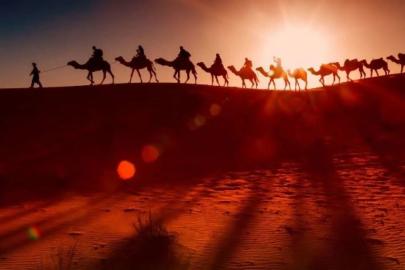 Ebu Zeyd: Hicret yalnızca bir göç değil, zorlukları fırsata dönüştüren ilahi bir eğitim sürecidir