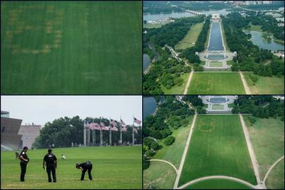 Ulusal Parkta Trump'a dev "8647" mesajı