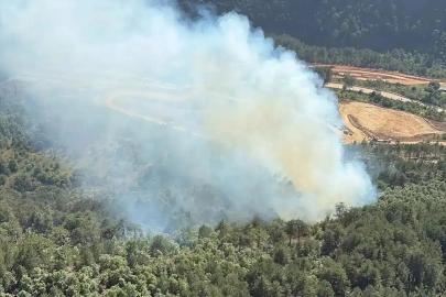 Bursa'da tarım arazisinde başlayan yangın ormanlık alana yayıldı