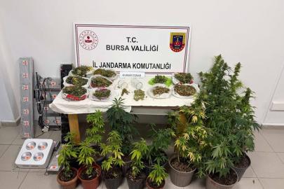 Bursa’da uyuşturucu operasyonunda 2 gözaltı