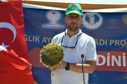 Çukobirlik 2026 ayçiçeği alım fiyatlarını ve alım takvimini açıkladı