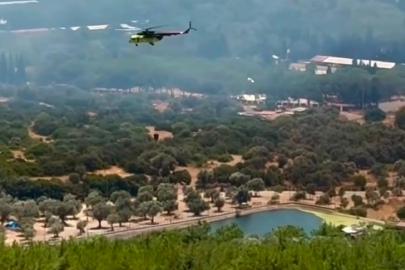 Homeros Vadisi'nde çıkan yangına havadan ve karadan müdahale sürüyor