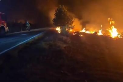 İspanya'nın orta kesiminde orman yangını