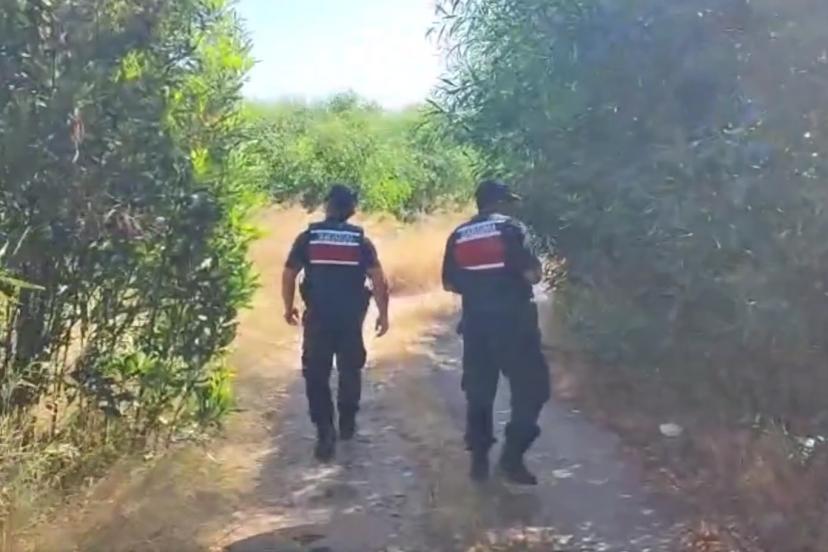 Jandarma: Orman yangınlarına yönelik tedbirleri ihlal eden 456 kişiye işlem yapıldı