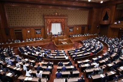Japonya, 79 yıl sonra ilk kez imparatorluk hanedanlığı yasasını revize etti