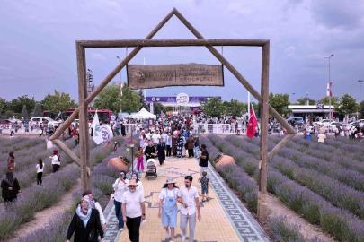 Karatay lavanta günleri sona erdi