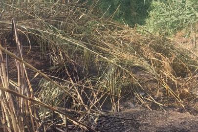 Alanya'da otluk alanda çıkan yangın söndürüldü