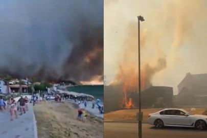 Avrupa alev alev: Fransa ve İngiltere'de orman yangınları büyüyerek devam ediyor