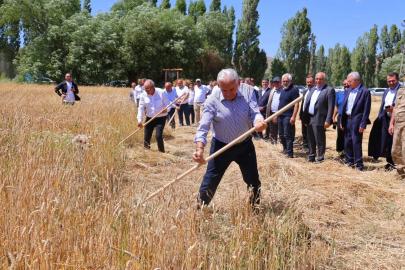 Binali Yıldırım Harman Şenliği’nde tırpan salladı
