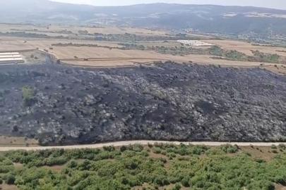 Bursa’da iki ilçedeki orman yangınları kontrol altına alındı