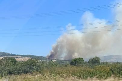Çanakkale Lapseki'de yangın