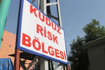 Diyarbakır'da 3 yaşındaki çocukta kuduz vakası tespit edildi