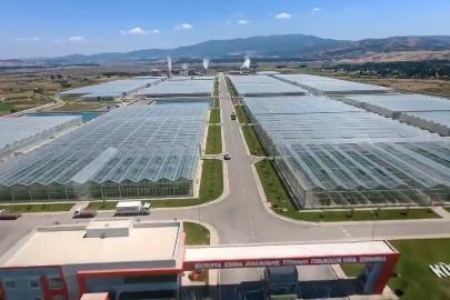 Kütahya’da jeotermal sera bölgesi üretime hazır