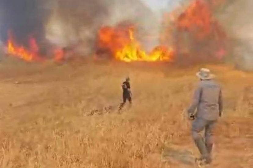 Malatya’da arazi örtü yangını