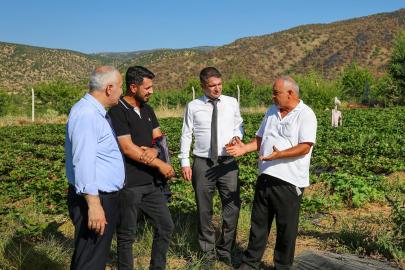 Malatyalı üretici tarımsal üretime farklı ürünlerle katkı sağlıyor