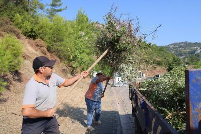 Marmaris'te yangın riskine karşı kapsamlı temizlik