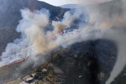 Muğla'da orman yangını