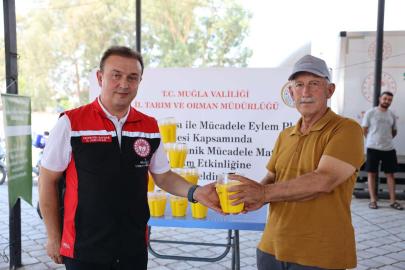 Muğla'da turunçgil üreticilerine 8 bin Akdeniz meyve sineği tuzağı