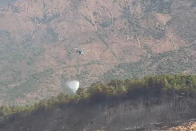 Muğla'daki orman yangını kontrol altına alındı