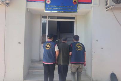 Şanlıurfa'da 17 yıl hapis cezasıyla aranan hükümlü yakalandı