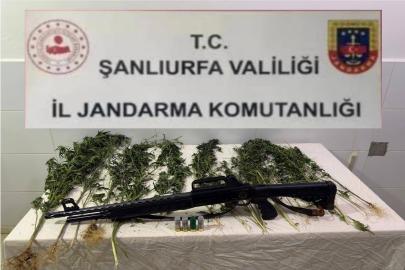 Şanlıurfa’da uyuşturucu operasyonu