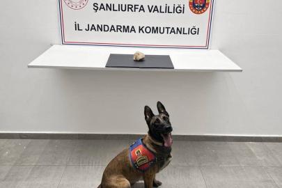 Şanlıurfa'da uyuşturucu operasyonunda bir şüpheli tutuklandı
