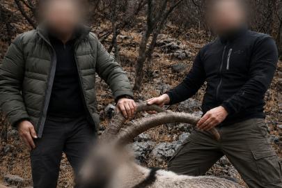 Siirt'te 6 yıl önce koruma altındaki yaban keçilerini avlayanlara ceza