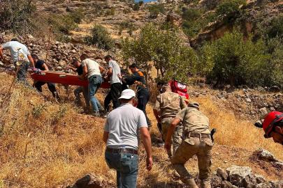 Şırnak’ta ağaçtan düşen vatandaş için ekipler seferber oldu
