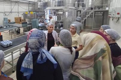 Stajyer öğrenciler süt fabrikasında üretim süreçlerini inceledi
