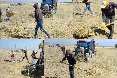 Artan maliyetlerden dert yanan üreticiler: Bu toprakları bırakalım mı?