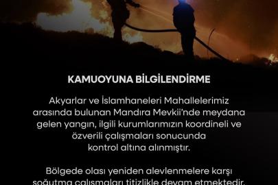 Bodrum’da maki ve ot yangını (3)