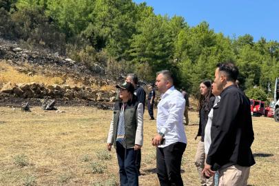 Burdur'da orman yangını (2)