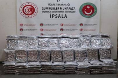 Edirne'deki gümrük kapılarında 174 kilogram uyuşturucu yakalandı