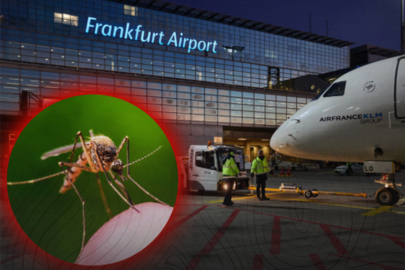 Frankfurt Havalimanı'nda sıtma alarmı