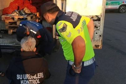Sakarya'da 2,2 ton midye ve 156 küçükbaş hayvana el konuldu